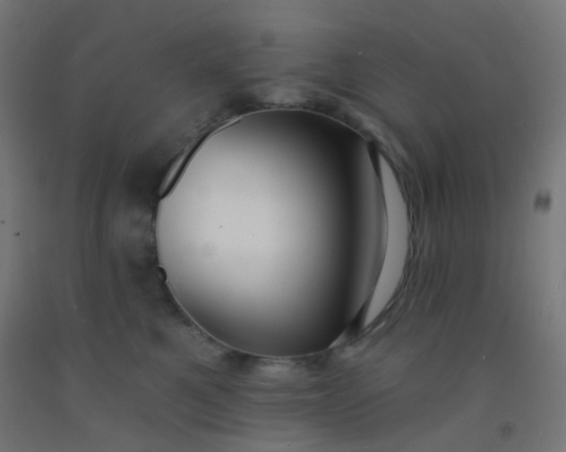 X0000092320521200709281408