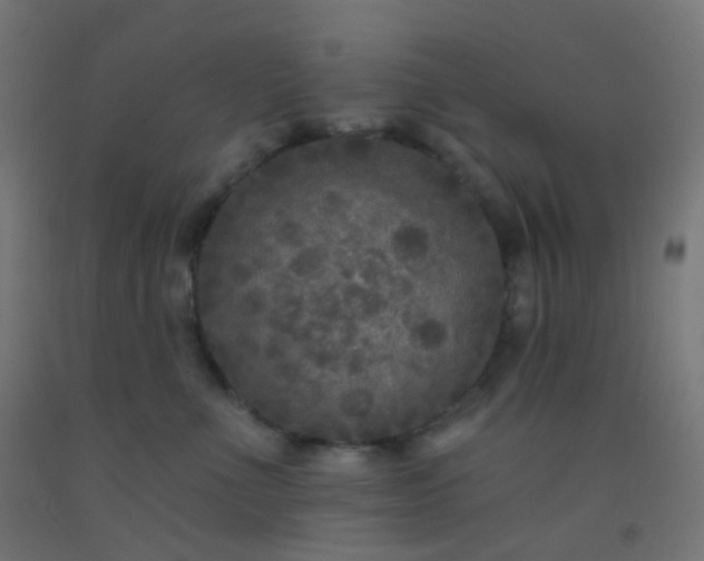 X0000092320523200709281408