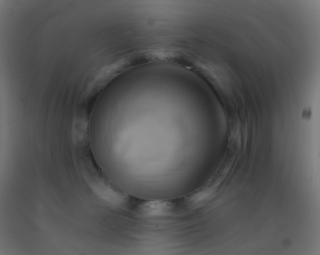 X0000092320526200709281408