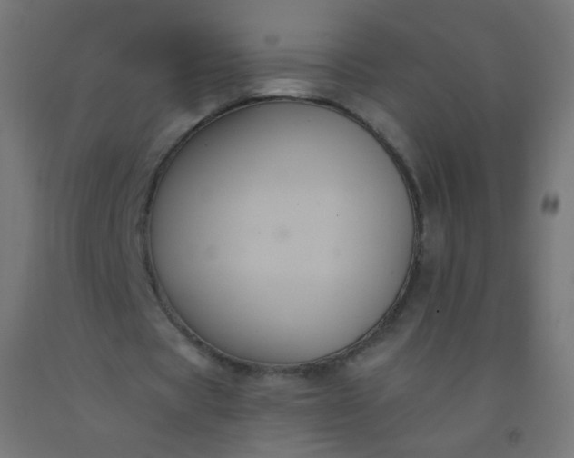 X0000092320529200709281408