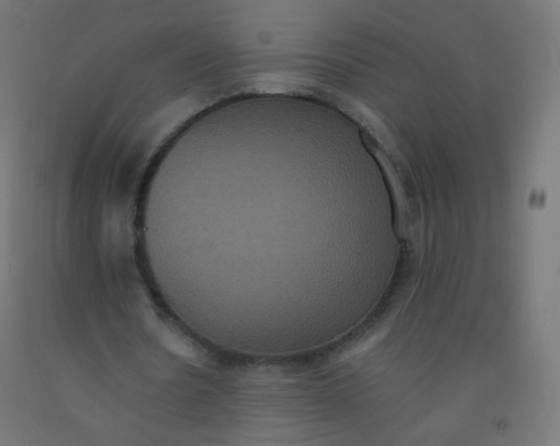X0000092320530200709281408