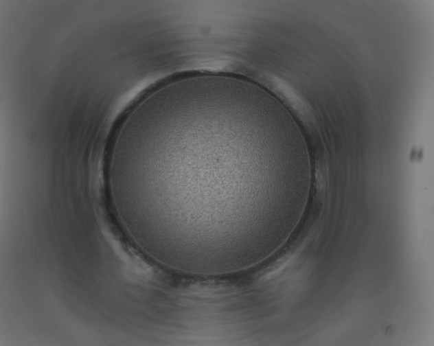 X0000092320532200709281408