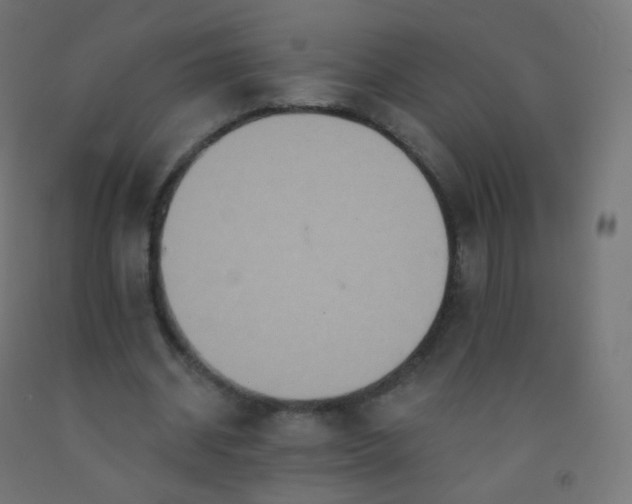 X0000092320534200709281408