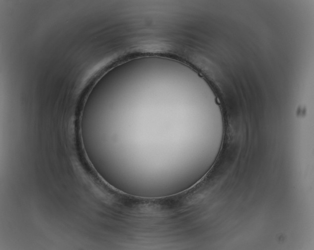 X0000092320535200709281408