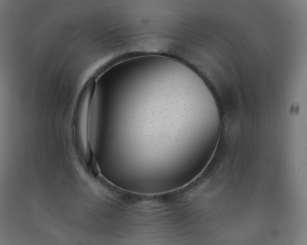 X0000092320536200709281408