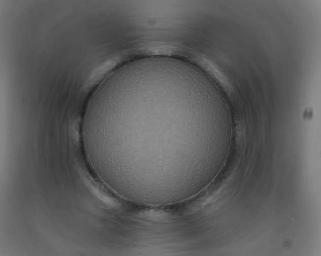 X0000092320537200709281408