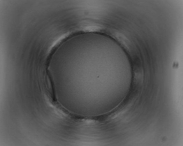 X0000092320539200709281408