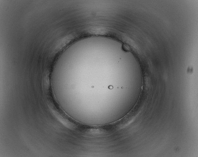 X0000092320541200709281408