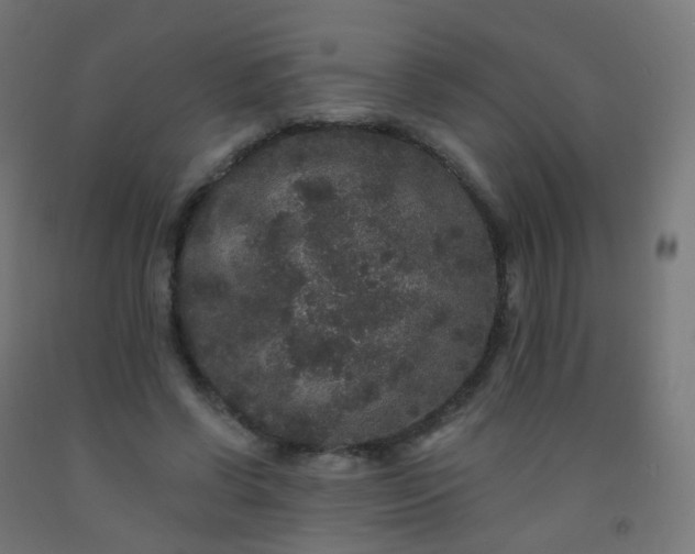 X0000092320542200709281408