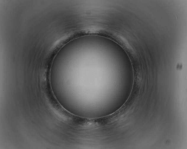 X0000092320543200709281408