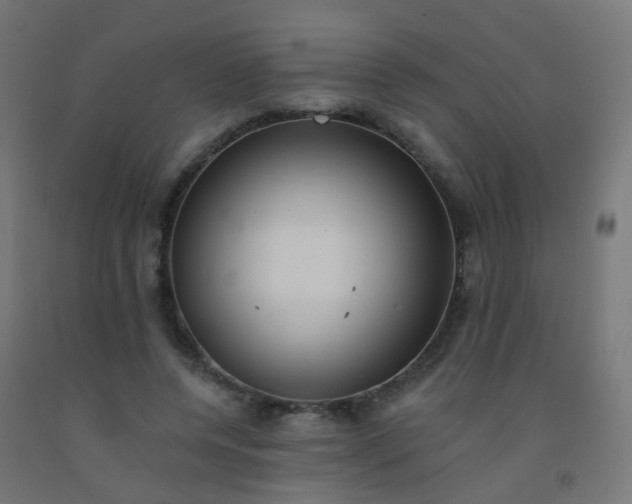 X0000092320544200709281408