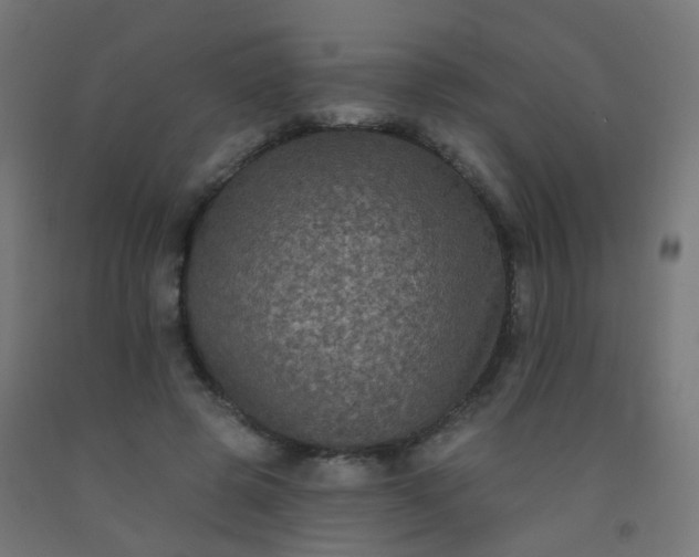 X0000092320545200709281408