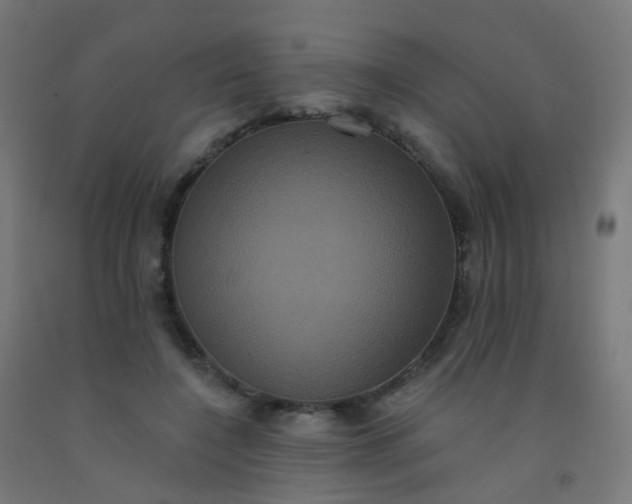 X0000092320548200709281408