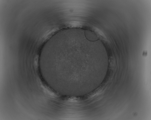 X0000092320550200709281408