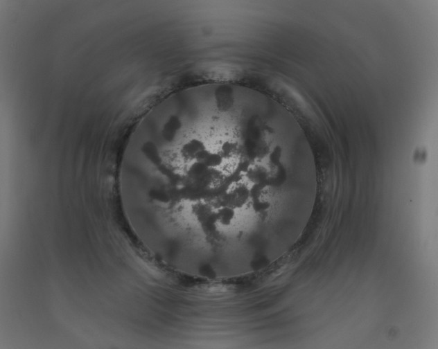 X0000092320553200709281408