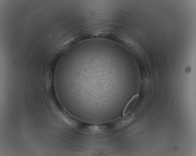 X0000092320558200709281408