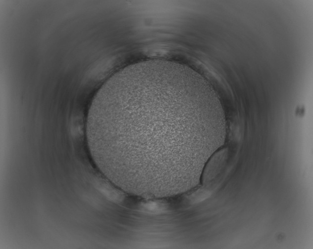 X0000092320561200709281408