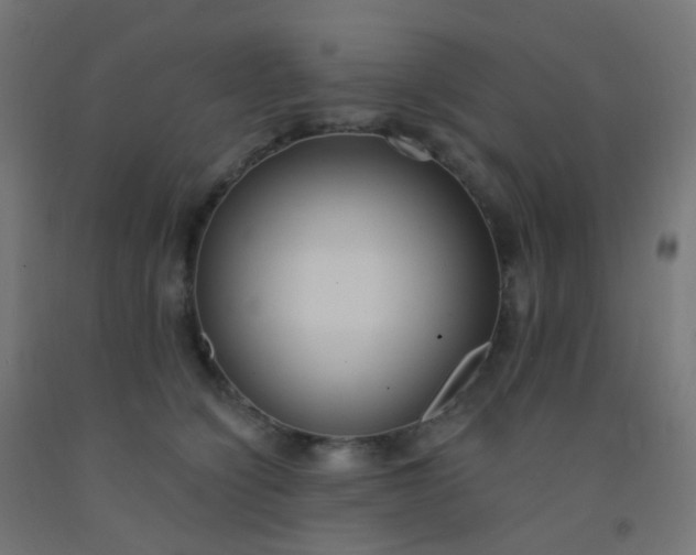 X0000092320564200709281408