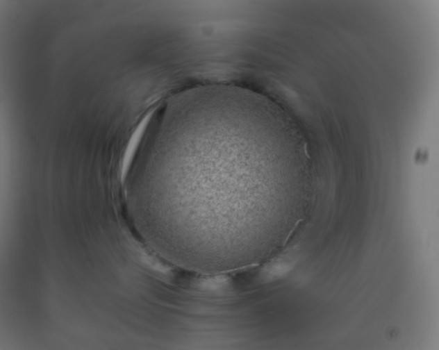 X0000092320576200709281408