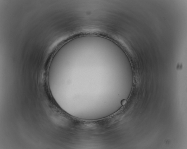 X0000092320583200709281408