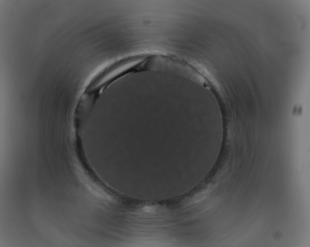 X0000092320584200709281408