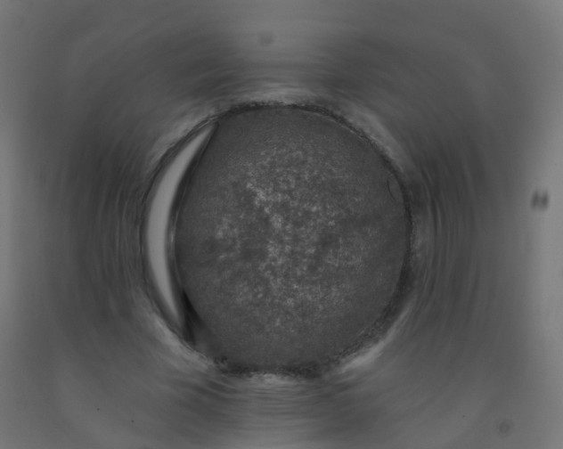 X0000092320585200709281408