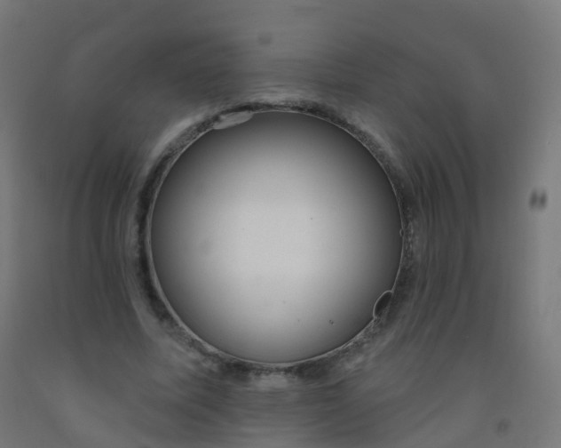 X0000092320587200709281408