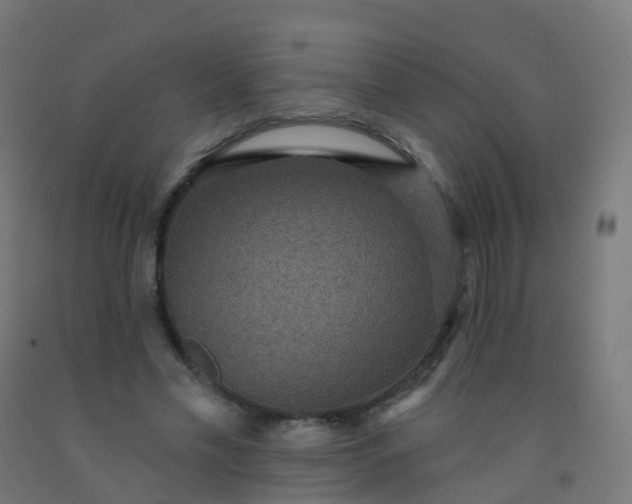 X0000092320589200709281407