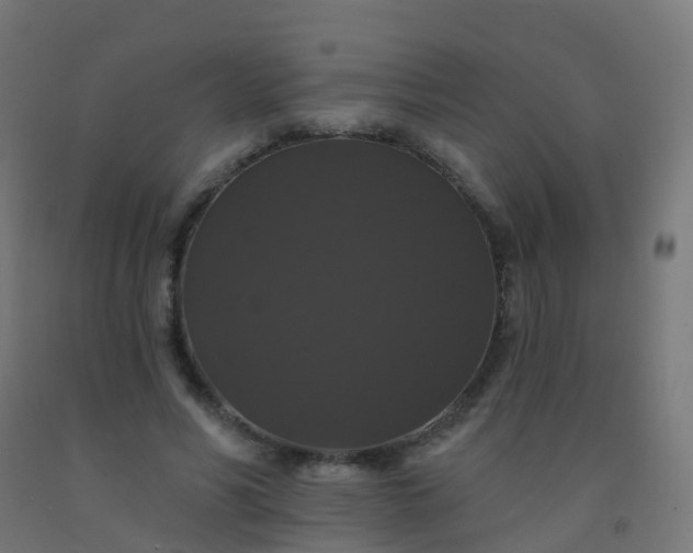 X0000092320590200709281407