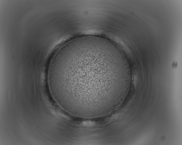X0000092320591200709281407