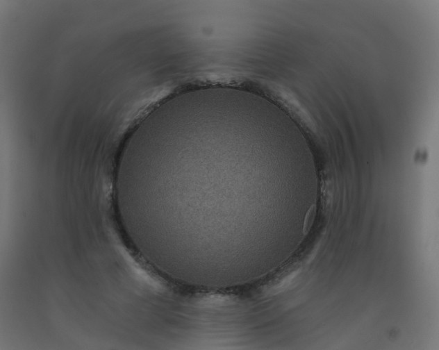 X0000092320593200709281407