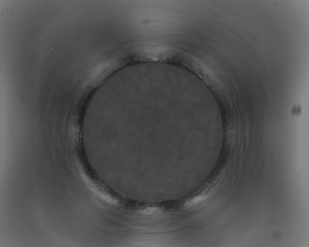 X0000092320594200709281407