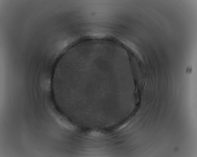 X0000092320596200709281407