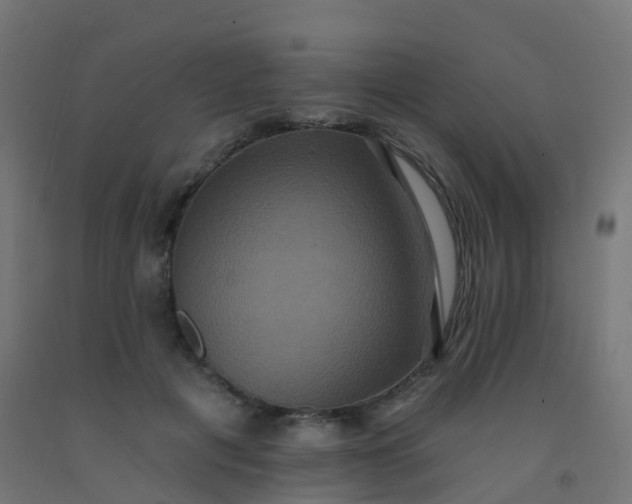 X0000092320601200709281407