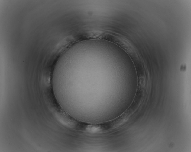 X0000092320602200709281407