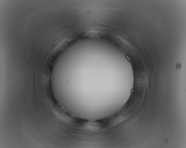 X0000092320603200709281407
