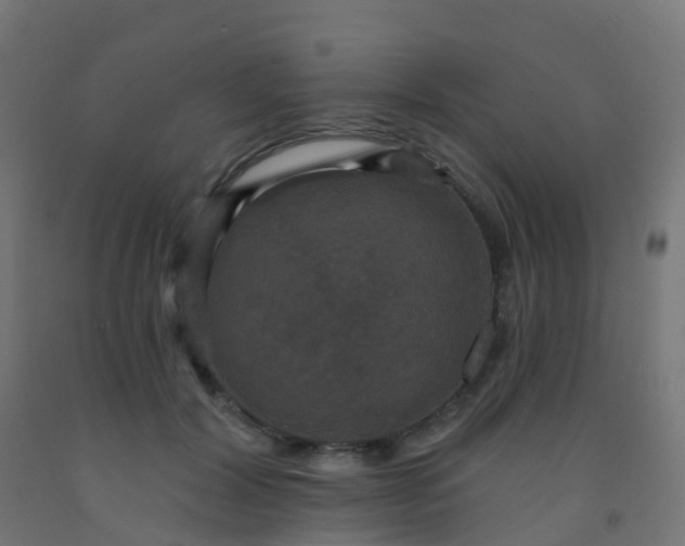X0000092320604200709281407