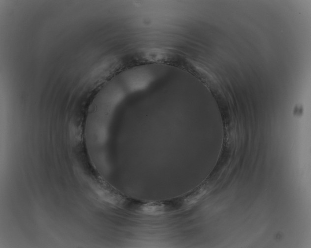 X0000092320606200709281407