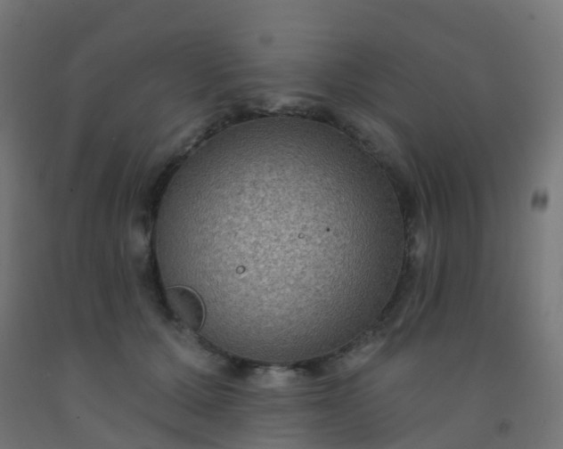 X0000092320607200709281407