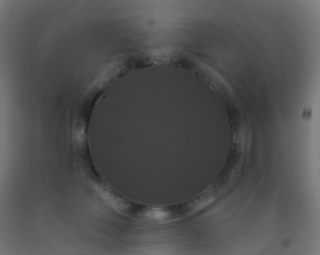 X0000092320610200709281407