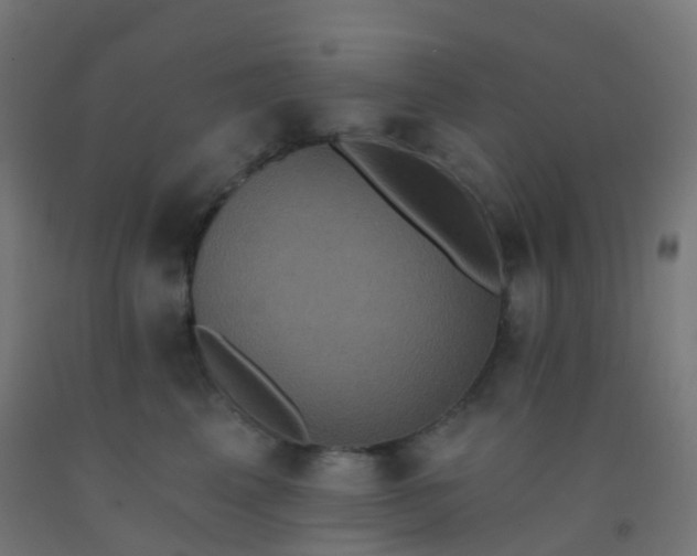 X0000092320617200709281407