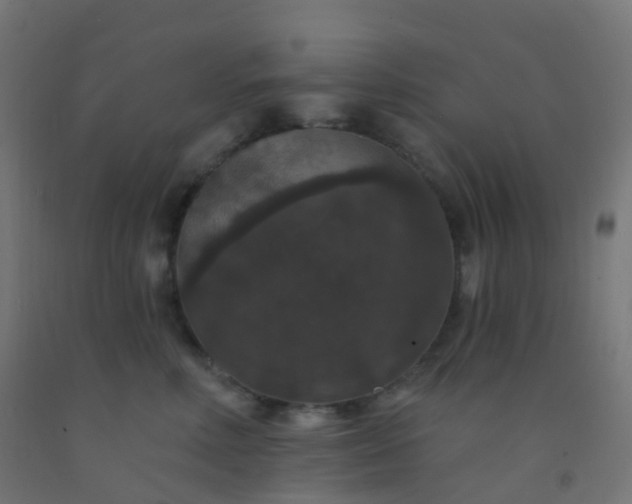 X0000092320618200709281407
