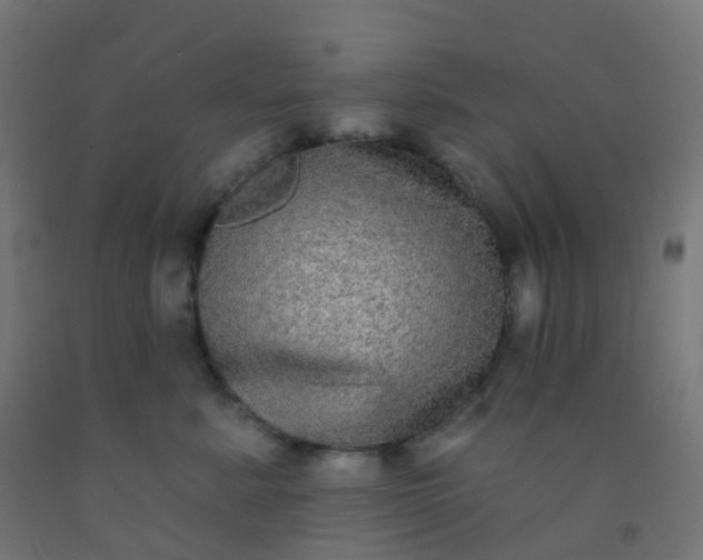 X0000092320619200709281407