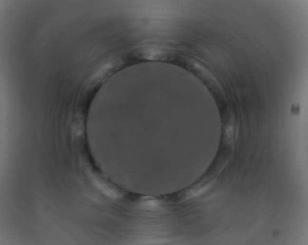 X0000092320620200709281407