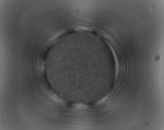 X0000092320621200709281407