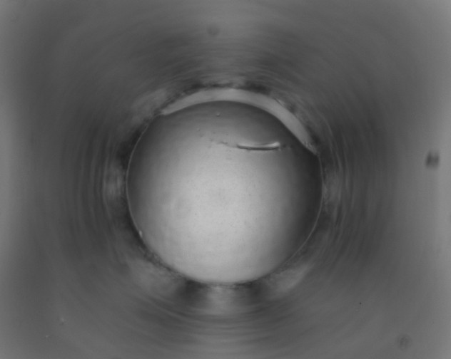 X0000092320623200709281407