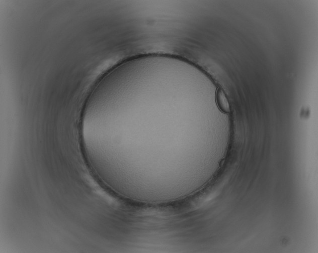 X0000092320625200709281406