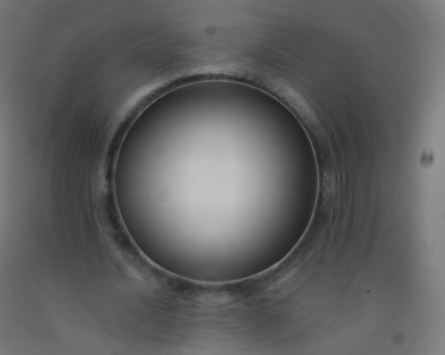 X0000092320628200709281407