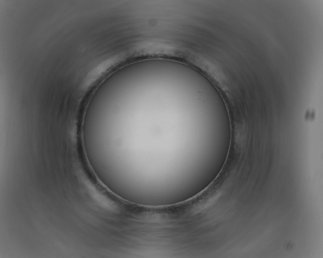 X0000092320629200709281407