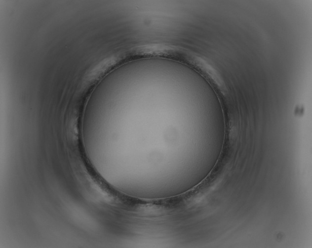 X0000092320633200709281407